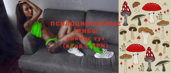 spice Алексин