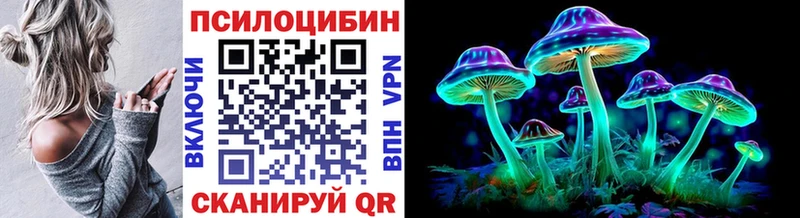 купить наркоту  Черноголовка  Галлюциногенные грибы мухоморы 